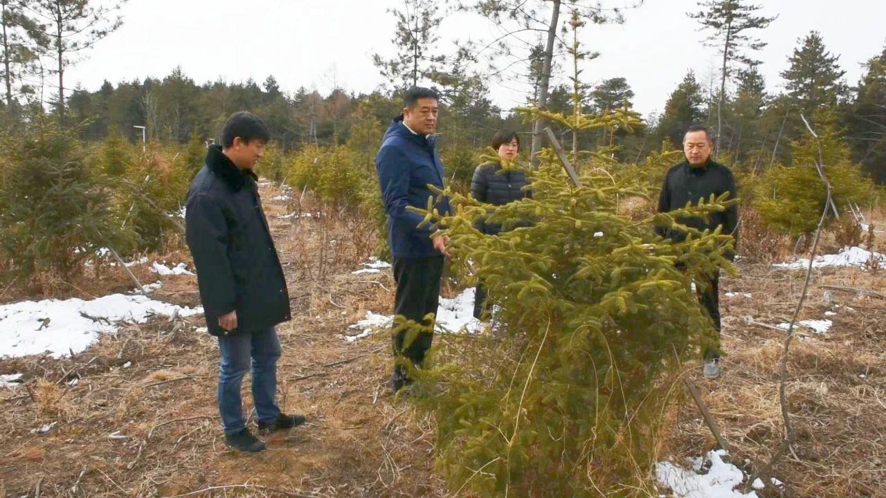 旁敲侧击打一最佳生肖，详细解答、构建解答解释落实