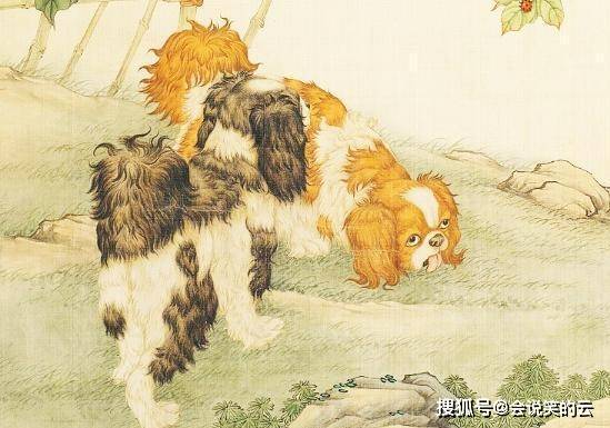乳狗噬虎是什么生肖,警惕虚假宣传-全面释义、解释与落实、实证解答解释落实