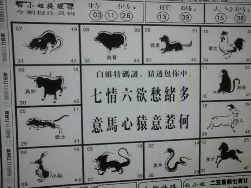 今期鼠马蛇出特，十一十三合一数打一准确生肖精选解析、解释与落实、详细解答解释落实