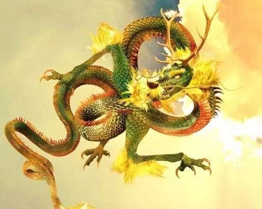 蛇龙摆尾打一最佳生肖详细解答、解释与落实、统计解答解释落实