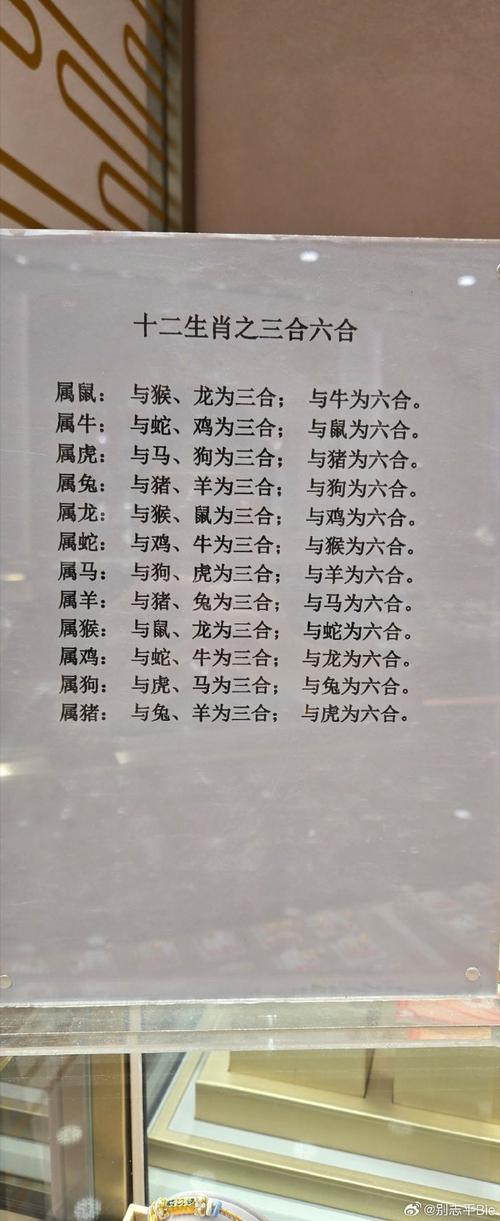 今期鼠马蛇出特，十一十三合一数打一准确生肖精选解析、解释与落实、详细解答解释落实