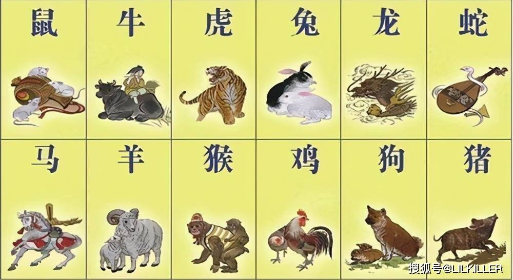 乳狗噬虎是什么生肖,警惕虚假宣传-全面释义、解释与落实、实证解答解释落实